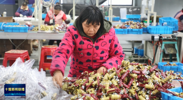 体育游戏app平台该公司总司理汤青虎先容-开云「中国」kaiyun网页版登录入口