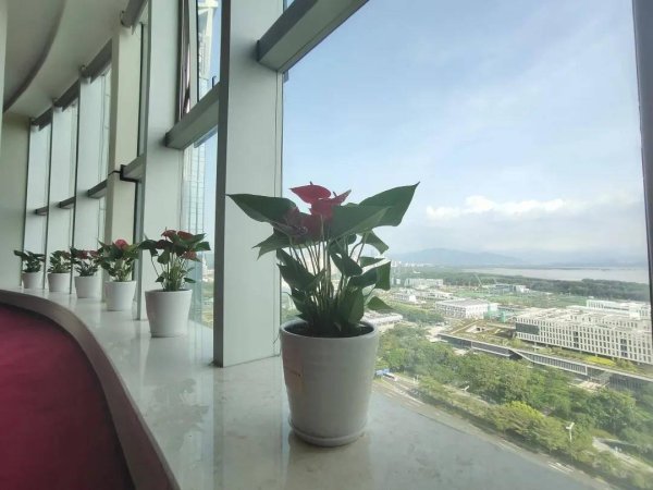 开yun体育网实时为企业提供更新后的办理有测度打算-开云「中国」kaiyun网页版登录入口