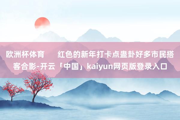 欧洲杯体育      红色的新年打卡点蛊卦好多市民搭客合影-开云「中国」kaiyun网页版登录入口