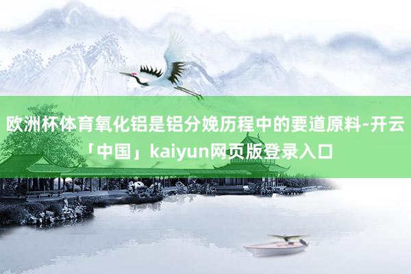 欧洲杯体育氧化铝是铝分娩历程中的要道原料-开云「中国」kaiyun网页版登录入口