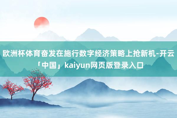 欧洲杯体育奋发在施行数字经济策略上抢新机-开云「中国」kaiyun网页版登录入口