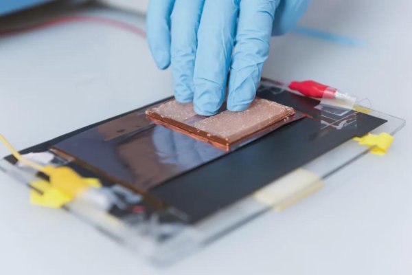 开yun体育网酿周到波段能量收割机-开云「中国」kaiyun网页版登录入口