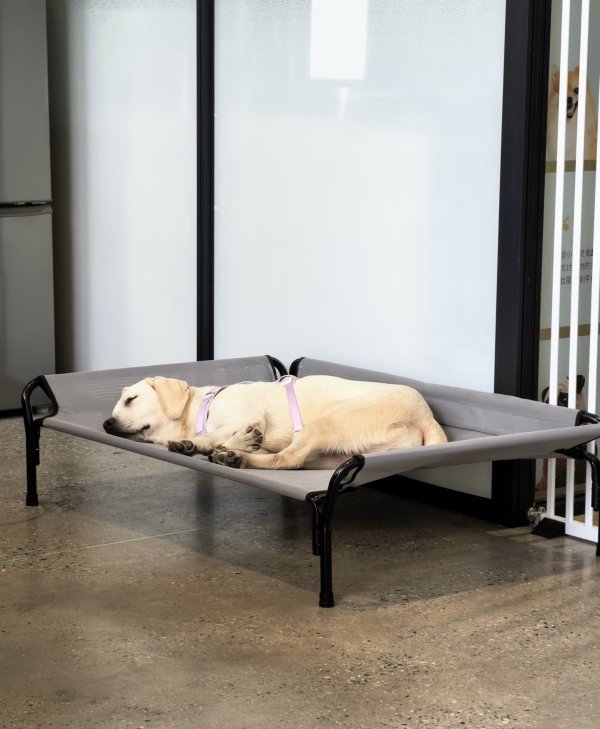 欧洲杯体育”公司发挥东说念主周女士在领受采访时说-开云「中国」kaiyun网页版登录入口